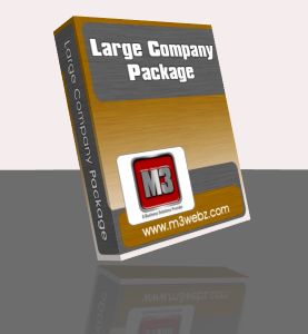 Large Company Package